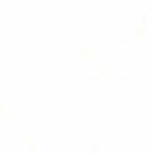 Meet your Posher, Đình đạt